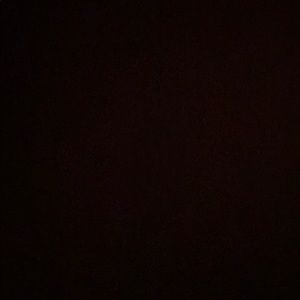 Meet your Posher, Wyatt